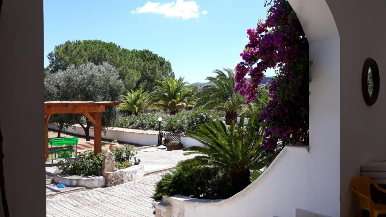 Villa Cristalda Vieste Exterior photo